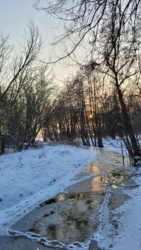 31ada316-3283-4573-8dbd-f032ce432587