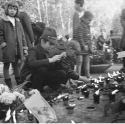 c3289267-5123-4c8b-92b3-22d88a9924d1