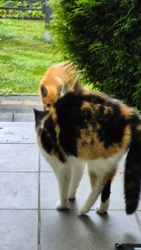 181c92db-643a-4d32-bc2b-302f5c65affa