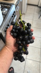 4ad6b4c3-4dad-44ea-a79b-297c6eeb8af1