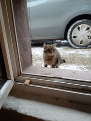 4308ce8e-a03a-4872-be65-a451a11434d0