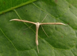 ac42df38-9354-4415-93f3-a476ddc93458