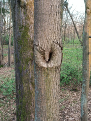 d6816f71-95b2-4a78-8b7c-6004f5b72e61