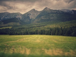 80cea04c-54ac-443b-91de-e81a778ce8b4