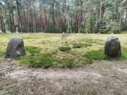 9dceb6b1-3c99-4317-945f-626a0cd8f6e9