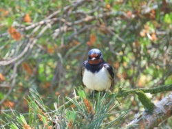 0f316ff4-7f66-4947-8791-f055bbe50806