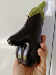 b71dc67e-7c52-41b0-ad8a-07c1a359c679