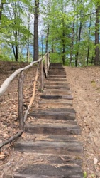 18dabf65-6639-4f04-8028-f45c0f80f35d