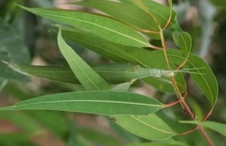 934e0aed-2332-4c73-8158-190d87860493