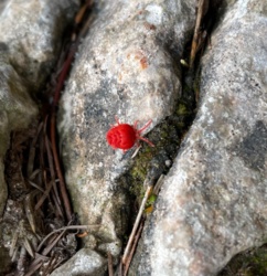 ffe25644-5c9a-46fe-a3d0-229ea9a277b3