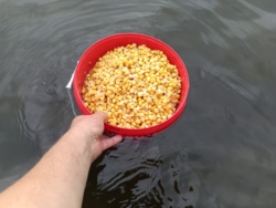 96329909-be05-46ed-a95f-24cd1711f3b2