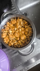 8304879e-fabb-4bf9-86fc-37720cad15db