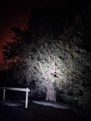 2c96e2d1-e237-499f-8fb1-144d67a38eb6