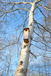 c86cb6df-49de-4df6-8795-ce577e0a4ce6