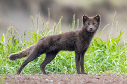 47d6d1cf-8f7c-4b93-9a8f-f9fbcda54b8f