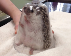 6c8e4bc7-834b-40cb-9207-158dfe9ed9f2