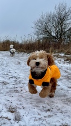 64b34352-dc5a-4c72-ad04-4a6367131043