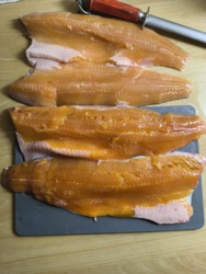 3532aab7-0a6e-4ddc-8e53-0473ad7766db