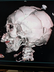 d4a6a570-f202-41c7-af07-9d4c79675ca7