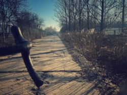 6023e56a-f6df-4522-aabc-6bbf41c1e251