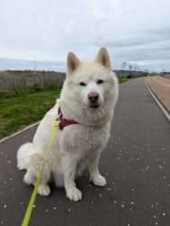 aaf04067-9f1d-4a5e-a580-4042f499585a