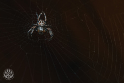 2646da73-3ddf-464e-96a3-8cf03e49fb81