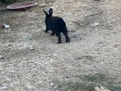 69268e21-bef3-4ddc-b458-be4892e9315b