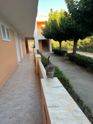 2c2140f3-554f-4a29-9aa0-7e6bd53e0c62