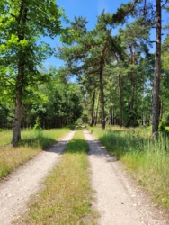 6ca81de0-284c-4c7a-b4c8-4066b2c1403e