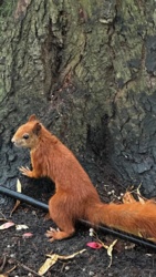 f5ae6b28-2089-430e-a4a3-87788a3b1f76