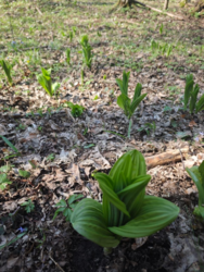 e9f06759-b9b2-497d-bb0c-8b6b5220d157