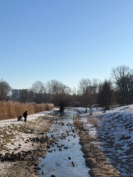 a2bf751b-2466-4986-86fb-a74f9f0c87cc