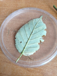 7312700b-7d33-4923-97d8-0e751723a0cd