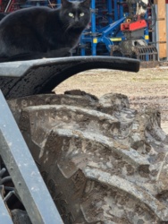 66ca1b34-0ddc-4081-abf1-8bfe95ed378f