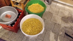 7e4f45b6-4c40-470b-94ee-8e5e81c2c4a7