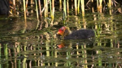 c8ed7688-351d-4387-8670-c6aaf84eb45c