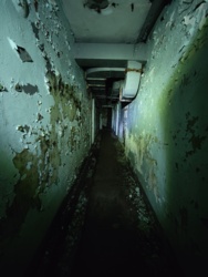 80a7e564-d3d6-42b8-bfea-6e50d3d677b4