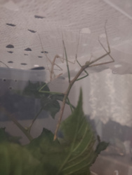 ec889efd-3a36-4e16-a50c-432b4f8de5ff