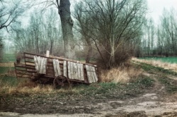 d51543ca-dfc6-4bc8-b390-6fedd0f97ba3