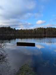 3b2e8782-0a02-42df-8a8d-f9296a4449d1