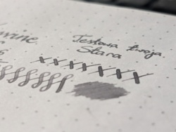 6e941a05-ab3e-43d3-b04c-92edb92e76f3