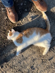 06047511-174c-41ef-bd28-66ce1ca06eec