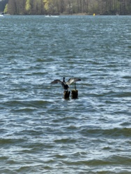 bfa9ba73-e740-421d-a306-978f14a9cc5b