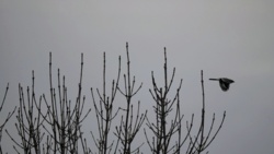 75bf449d-5633-44c2-9f53-31a15883d2ef