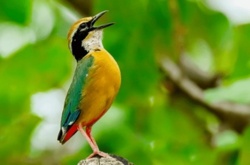 5ef01b39-e967-43b7-bd0f-d7bd2f67a087