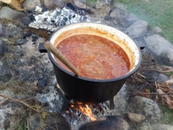 d4118ea8-5ecf-46bc-8dc5-72ba67ea9239