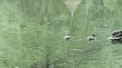 aa7c6a39-fe21-4d70-944b-22836280b5da