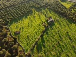 1b61dfe1-845b-48ae-8942-f369e0b9502f