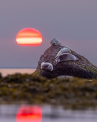 b56c6726-1f78-40e9-bf63-de667339a99a