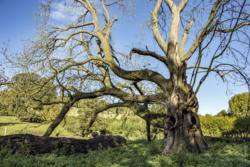 335edaac-b57b-4fcb-a98d-3654bbf3accd